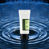 Thumbnail_main_cus 5