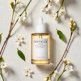 Thumbnail_main_cus 2