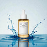 Thumbnail_main_cus 4